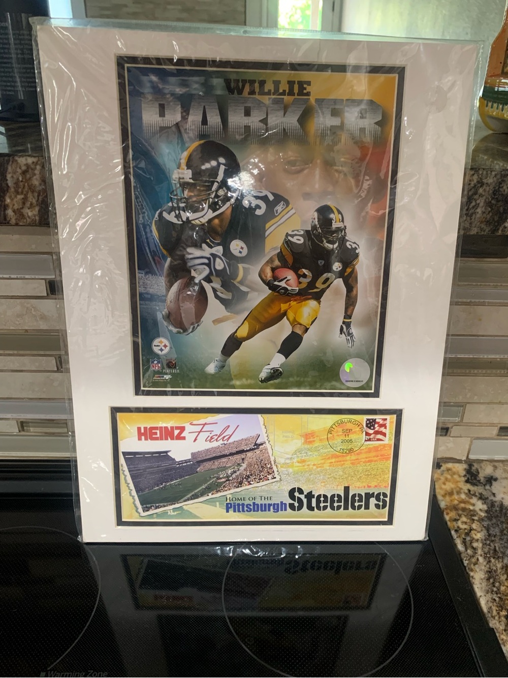Willie Parker Pittsburgh Steelers 2006 Commemorative Photo Display Mat